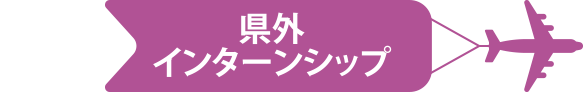 休日は都会で遊べる県外インターンシップ